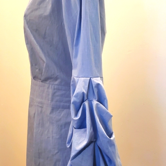 NWT Stunning Puffed Sleeve Top - Picture 1 of 11